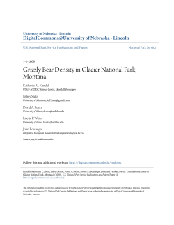 Grizzly Bear Density in Glacier National Park, Montana