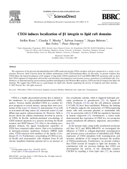 CD24 induces localization of b1 integrin to lipid raft domains