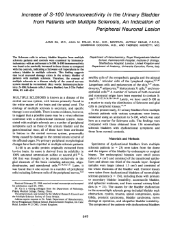 Increase of S-100 Immunoreactivity in the Urinary Bladder from