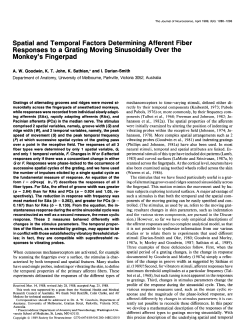 Spatial and Temporal Factors Determining Afferent Fiber Responses