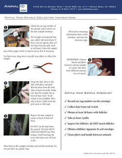 Cattle Hair Sample Collection Instructions Cattle Hair Sample