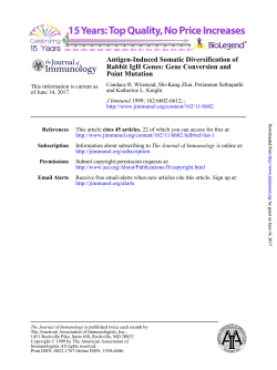Point Mutation Rabbit IgH Genes: Gene Conversion and Antigen