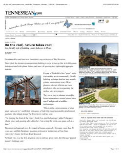 On the roof nature takes root