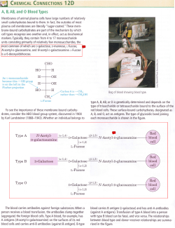 Blood Types - York University