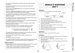 module 2: questions unit 1