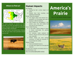 America`s Prairie