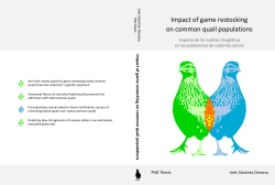 Impact-of-game-restocking- on-common-quail