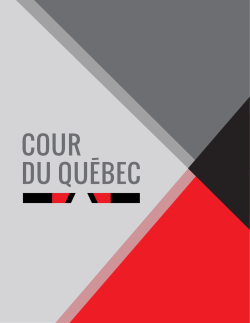L`activit&eacute; judiciaire - Les tribunaux du Qu&eacute;bec