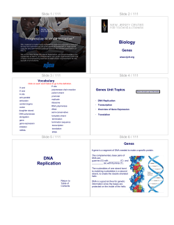 Biology DNA Replication