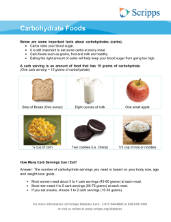 Carbohydrate Foods