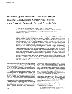Antibodies against a Lysosomal Membrane Antigen Recognize A