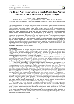 The Role of Plant Tissue Culture to Supply Disease Free