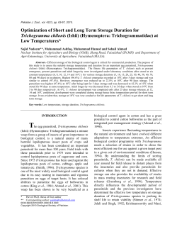 Optimization of Short and Long Term Storage Duration