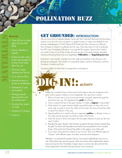 Pollination Buzz Sample Activity - 4-H