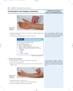 Assessing Peripheral Pulses