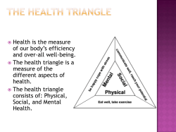 The Health Triangle - Stevens Global Logistics