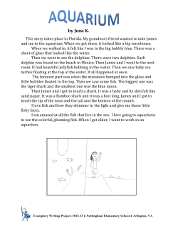 This story takes place in Florida. My grandma`s friend wanted to take