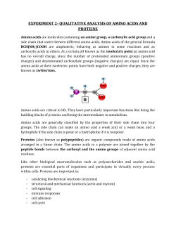 experiment 2- qualitative analysis of amino acids and proteins