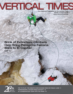 Brink of Extinction: Climbers Help Bring Peregrine Falcons Back to
