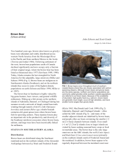 Brown Bear - Conservation Gateway