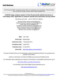 Cell Division - Biomedical Imaging Group