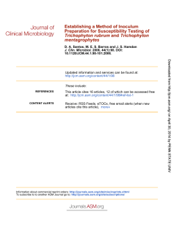 mentagrophytes Trichophyton and Trichophyton rubrum Preparation
