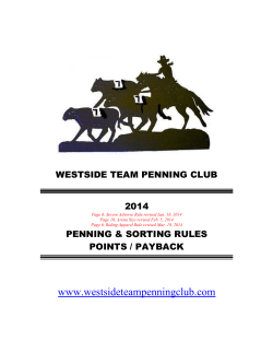Rule - Westside Team Penning