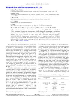 Magnetic iron silicide nanowires on Si&bdquo;110&hellip;