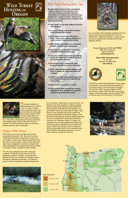 How to Turkey Hunt Brochure