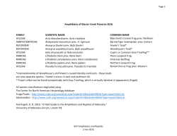 FAMILY SCIENTIFIC NAME COMMON NAME HYLIDAE Acris