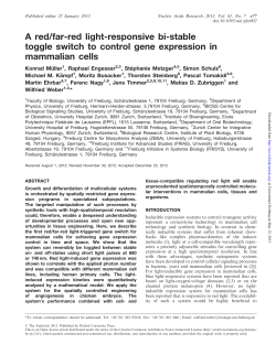 A red/far-red light-responsive bi-stable toggle switch to control gene
