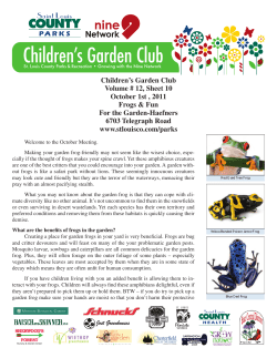 Children`s Garden Club Volume # 12, Sheet 10 October 1st , 2011
