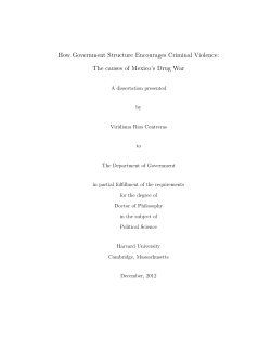 How Government Structure Encourages Criminal Violence: The