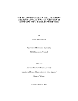 the role of biochar as a soil amendment in reducing soil and water