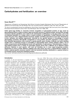 Carbohydrates and fertilization: an overview