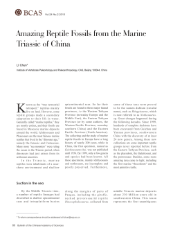 Amazing Reptile Fossils from the Marine Triassic of China