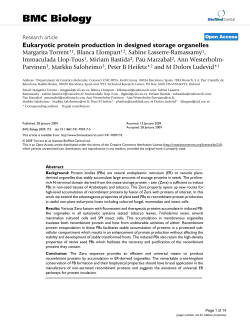 Eukaryotic protein production in designed storage organelles | BMC