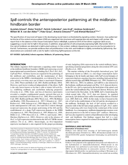 Sp8 controls the anteroposterior patterning at the midbrain