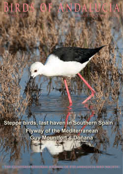 Birds of Andalucia - Andalucia Bird Society
