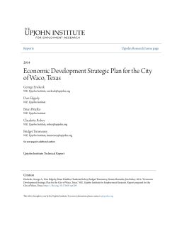Economic Development Strategic Plan for the City of Waco, Texas