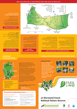 Sherwood Forest - Greenwood Community Forest