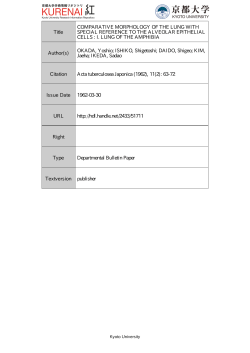 Title COMPARATIVE MORPHOLOGY OF THE LUNG WITH