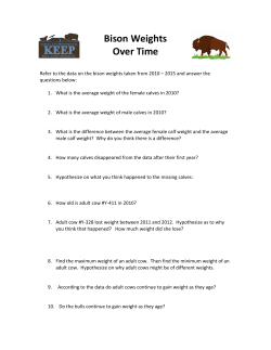 "Bison Weights over Time" activity