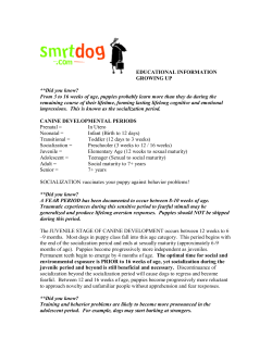 EDUCATIONAL INFORMATION GROWING UP **Did you