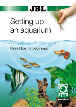 Setting up an aquarium