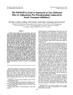 The PsENOD12 Gene Is Expressed at Two Different Sites in