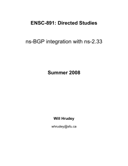 ns-BGP integration with ns-2.33