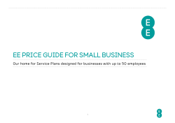 EE PRICE GUIDE FOR SMALL BUSINESS