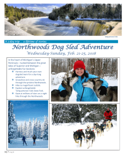 Northwoods Dog Sled Adventure