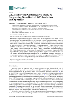 Full-Text PDF